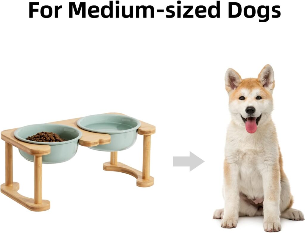 Havniva Ceramics Raised Dog Bowl with Non-Slip Stand Elevated Dog Bowl for Medium Dog Food and Water Bowl Dog Dish Pet Feeding Bowl (Double 6.9 Bowl, Light Green)
